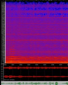 Spectrogram colored red and purple